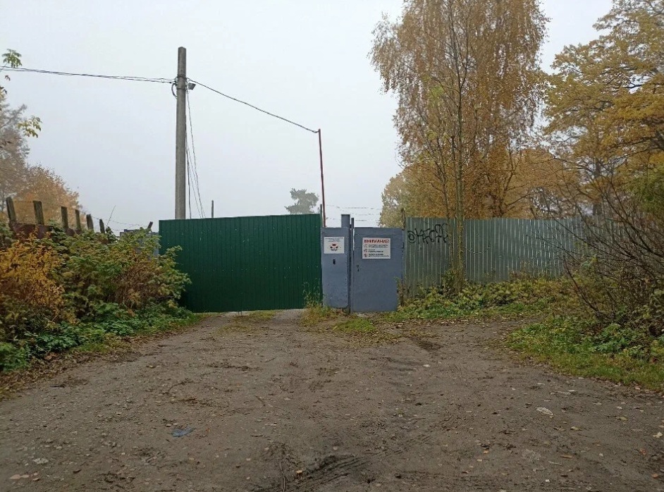 Описание изображения