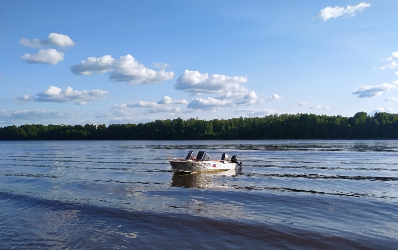 Описание изображения